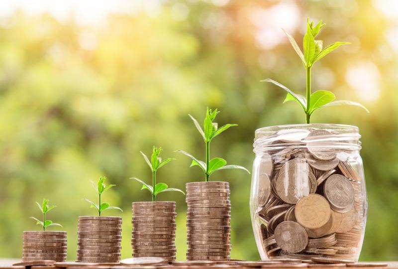 SME Loans